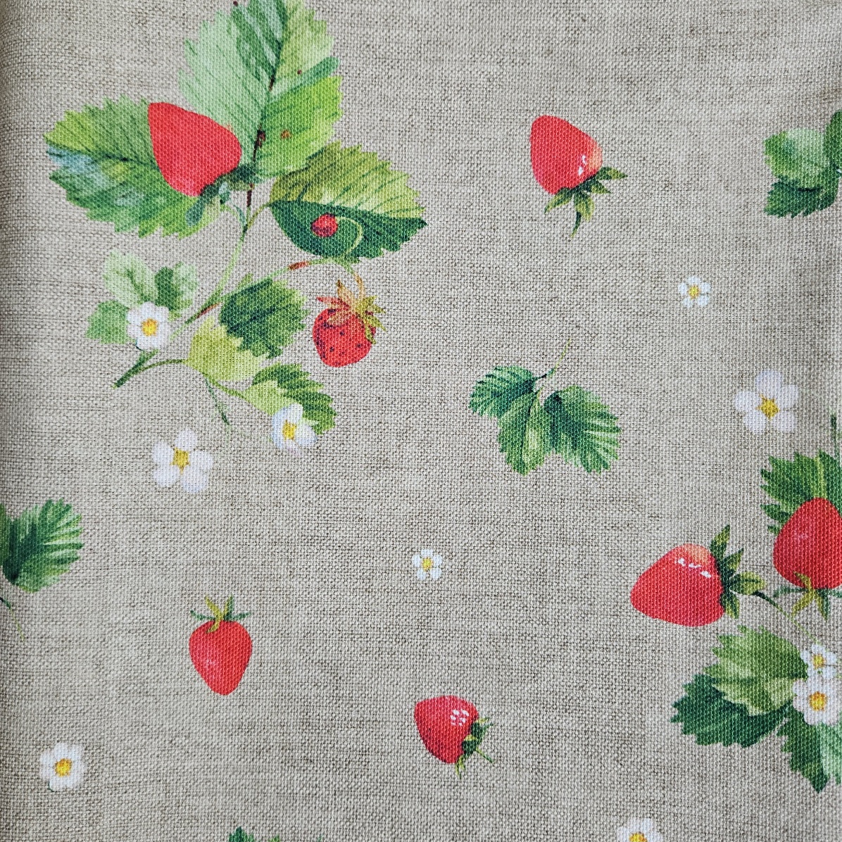 Fraises et feuilles