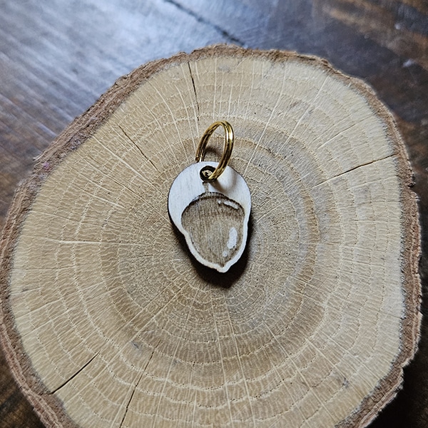 Anneaux marqueurs collection Automne - Gland